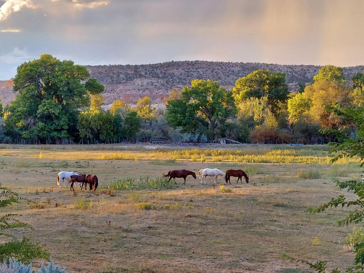 Canyons Of Escalante Rv Park Экстерьер фото