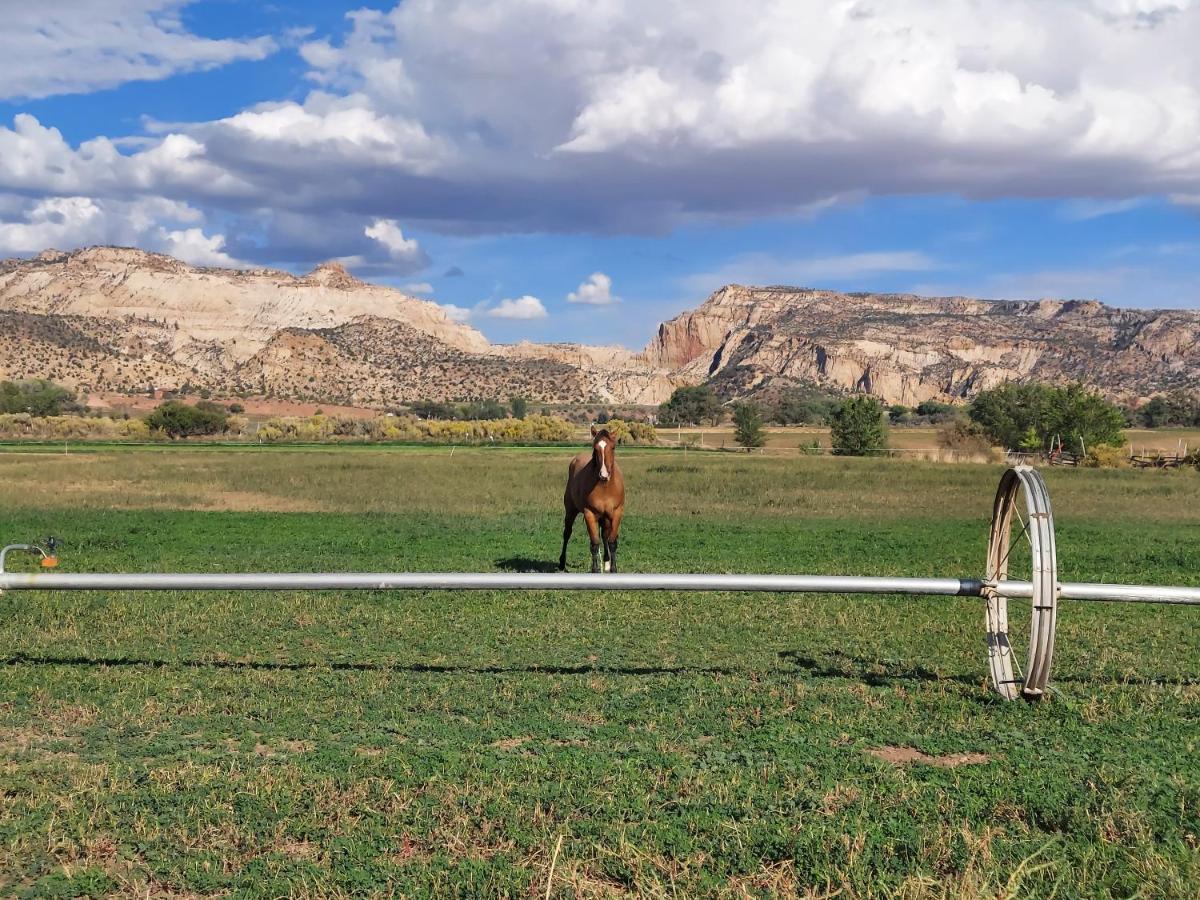 Canyons Of Escalante Rv Park Экстерьер фото