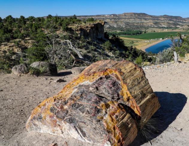 Canyons Of Escalante Rv Park Экстерьер фото